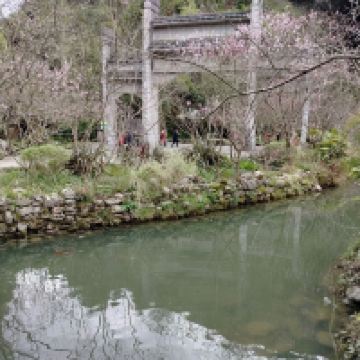 評論圖片 3