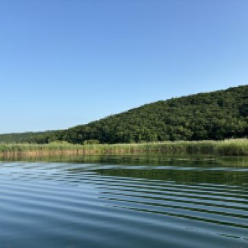評論圖片 1
