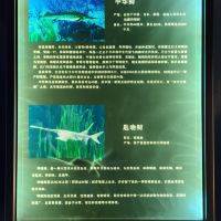 評論圖片 2