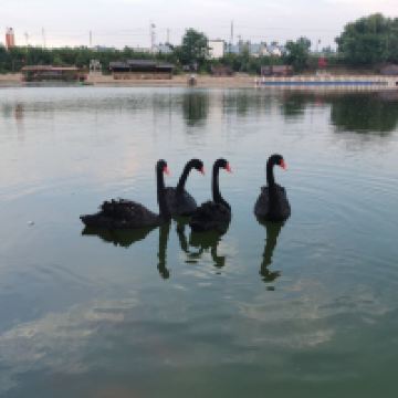 評論圖片 3