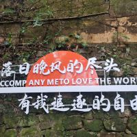 評論圖片 7