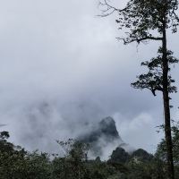 評論圖片 6