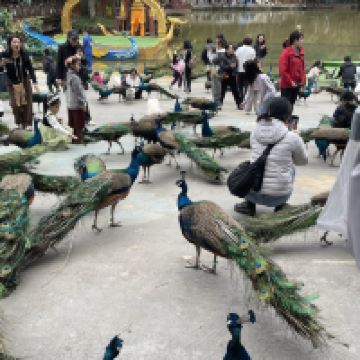評論圖片 9
