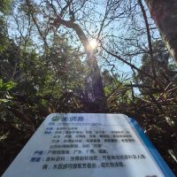 評論圖片 8