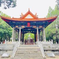 評論圖片 8