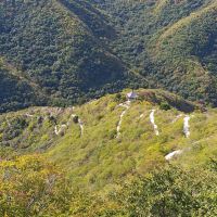 評論圖片 9