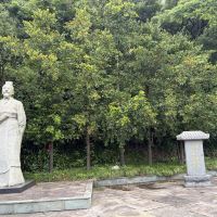 評論圖片 6