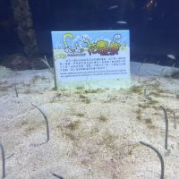 評論圖片 8