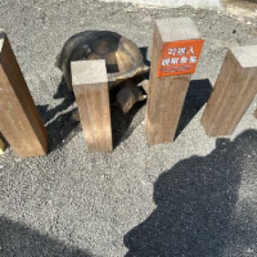 評論圖片 2