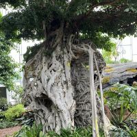 評論圖片 2