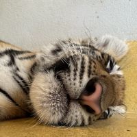 評論圖片 2