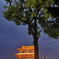 評論圖片 7