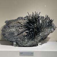 評論圖片 6