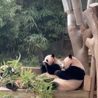 評論圖片 1