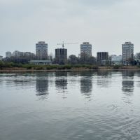 評論圖片 1