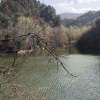 評論圖片 2