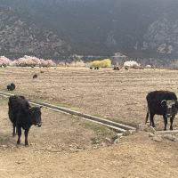 評論圖片 4