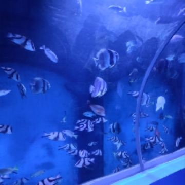評論圖片 7