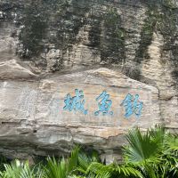 評論圖片 1