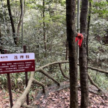 評論圖片 5