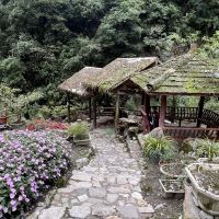 評論圖片 7