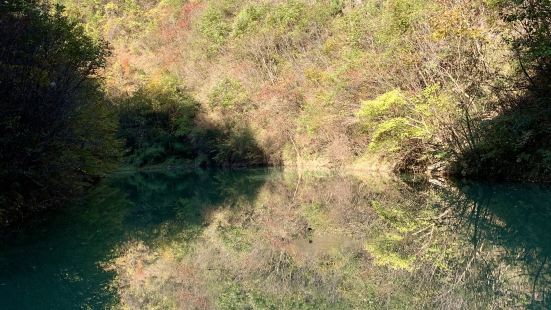 景区内有白龙峡、黑龙峡、青龙峡、石燕寨和丹江源五大景区，国家