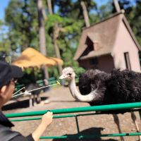 評論圖片 7