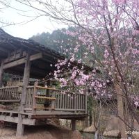 評論圖片 8