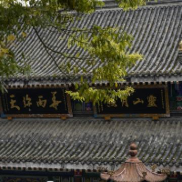 評論圖片 4