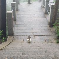 評論圖片 5