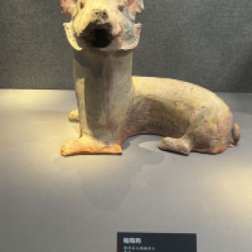 評論圖片 5