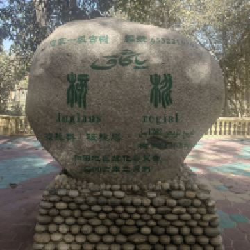 評論圖片 1