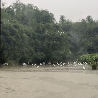 評論圖片 2