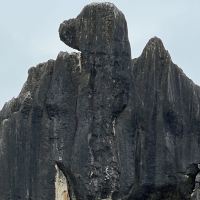 評論圖片 2