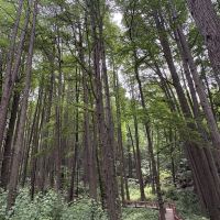 評論圖片 1