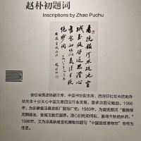 評論圖片 4