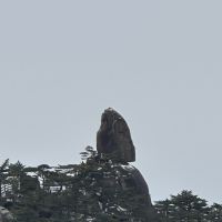 評論圖片 6