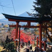 評論圖片 1