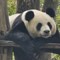 評論圖片 1