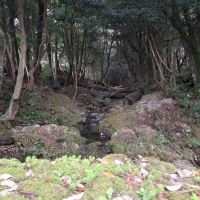 評論圖片 4