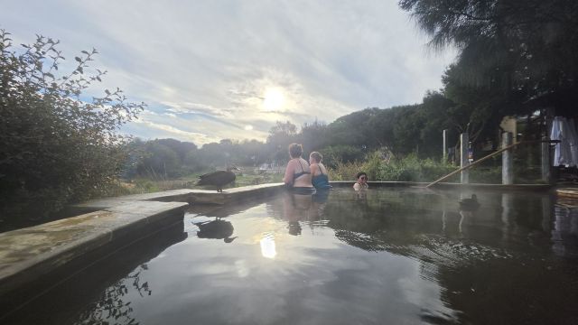 review picture