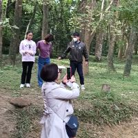 評論圖片 5