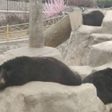 評論圖片 6