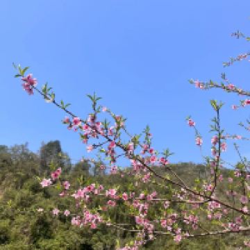 評論圖片 5