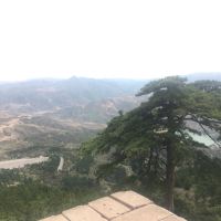 評論圖片 4