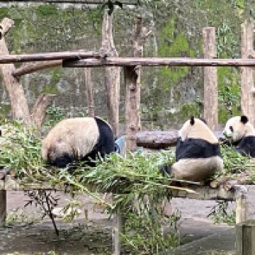 評論圖片 7