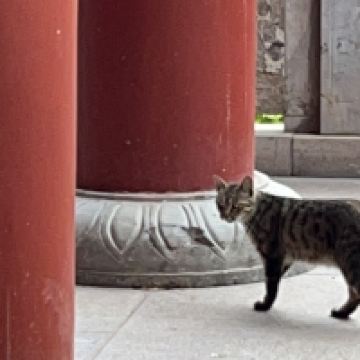 評論圖片 8