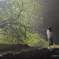 評論圖片 2