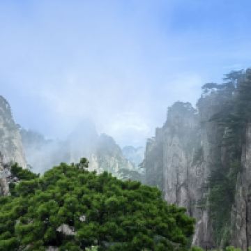 評論圖片 8