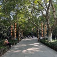 評論圖片 1